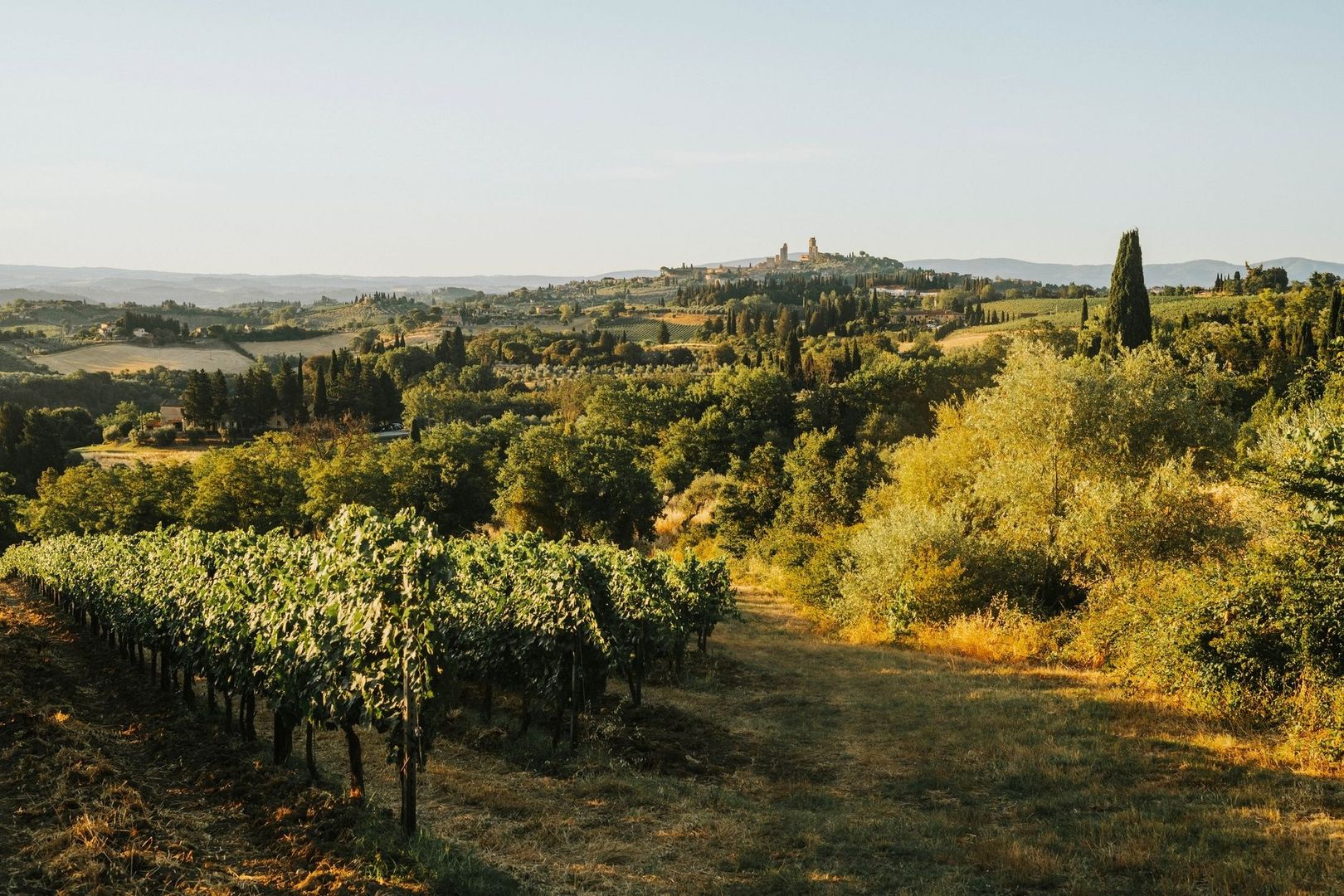 Vineyard rows across sunlit rolling hills with a hilltop village
