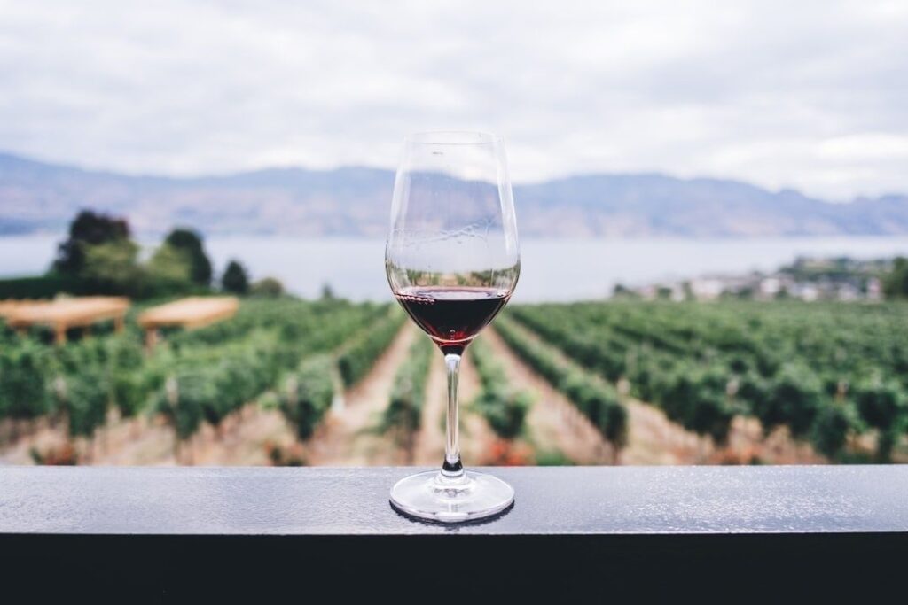 Red wine glass overlooking vineyard rows and a distant lake