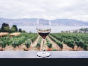 Can You Truly Taste the Soil? The Science of Wine Minerality Explained